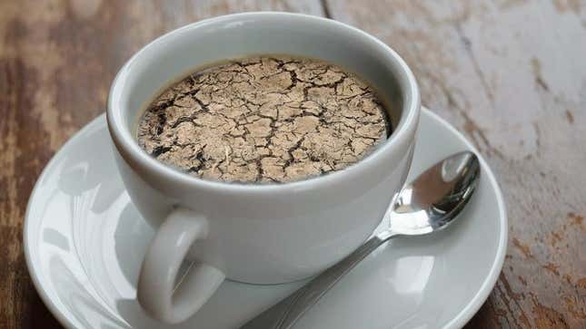 Desert soil in coffee cup