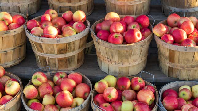 Bushels of apples at an orchard