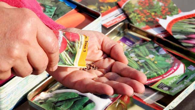 Packets of seeds for vegetable garden